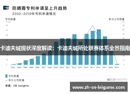 卡迪夫城现状深度解读：卡迪夫城所处联赛体系全景指南