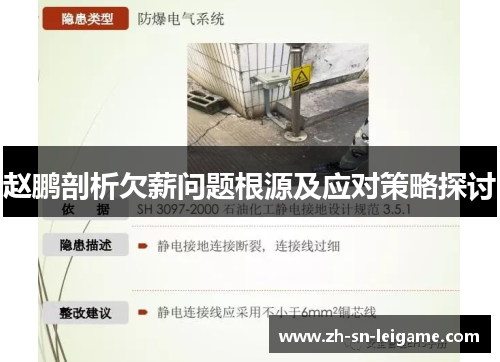 赵鹏剖析欠薪问题根源及应对策略探讨