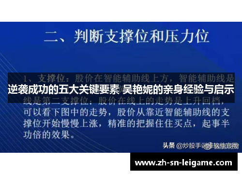 逆袭成功的五大关键要素 吴艳妮的亲身经验与启示